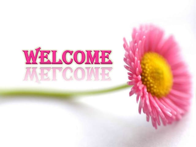 Non banking financial institutions