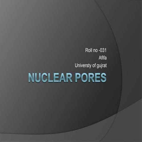 Nuclear pores