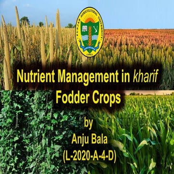 Nutrient management in kharif fodder crops.pptx