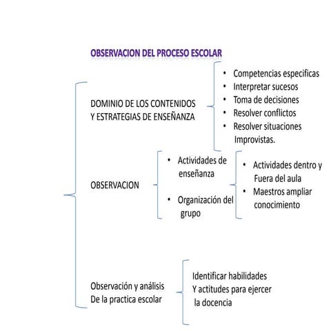 Observacion escolar 2