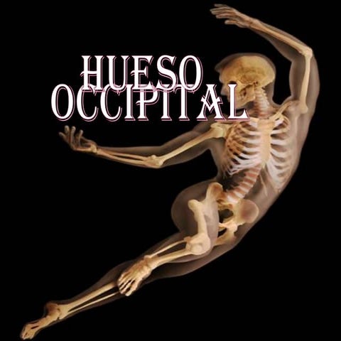 Hueso Occipital