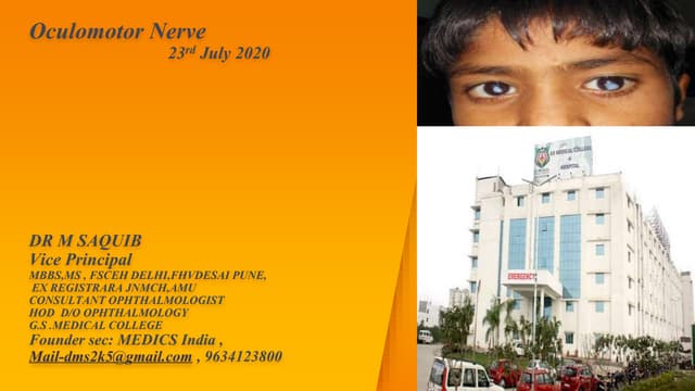 Oculomotor nerve