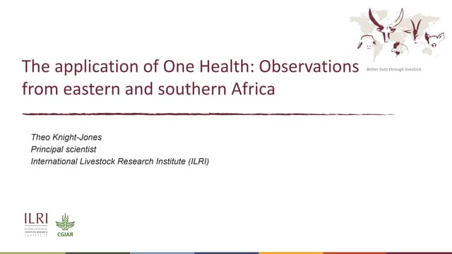 The application of One Health: Observations from eastern and southern Africa