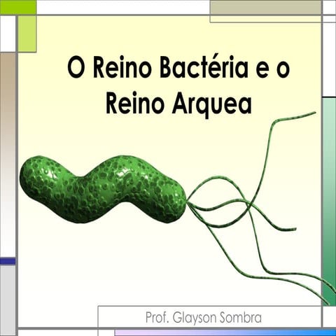 O reino bactéria e o reino arquea