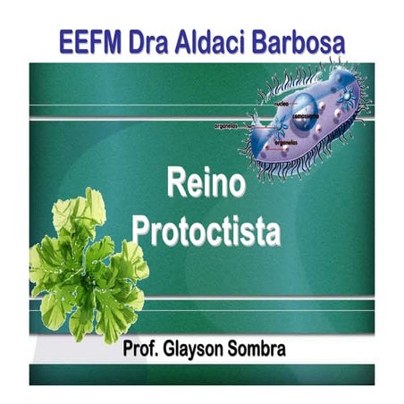 O reino protoctista