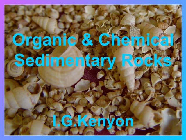 Organic chemical sedimentary_rockssmall