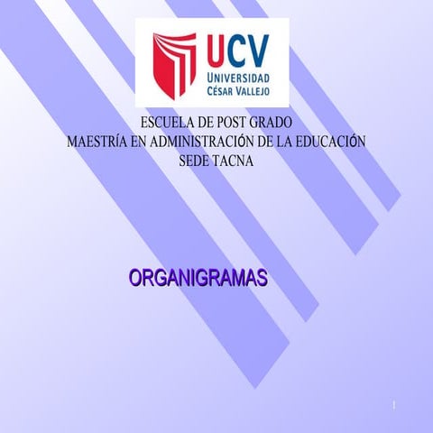 Organigramas