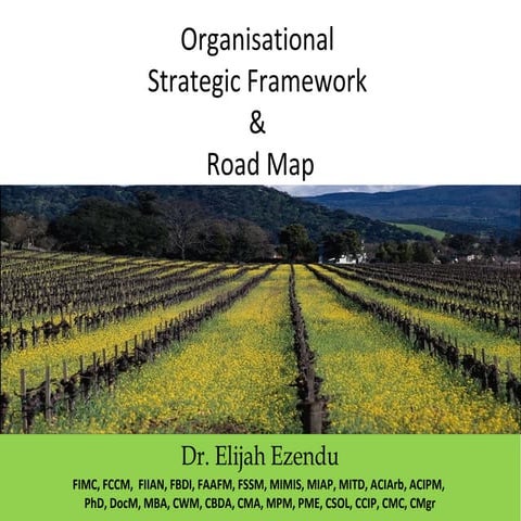 Organisational strategic framework & road map