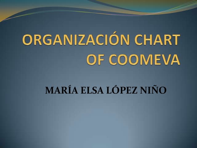 Organización chart of coomeva