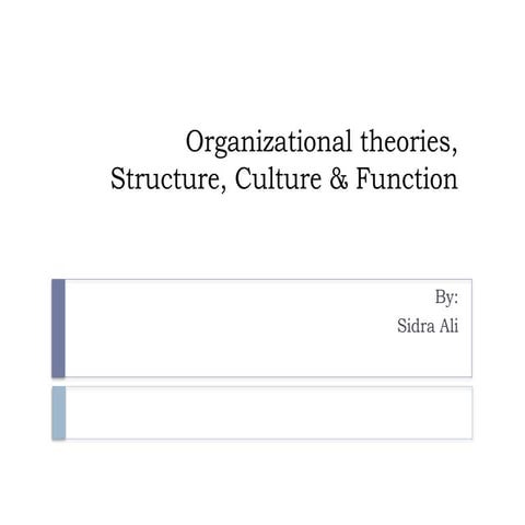 Organization structure , function & theories1.pptx