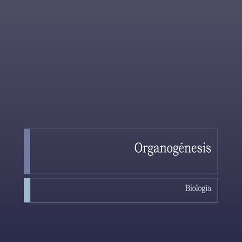 Organogénesis