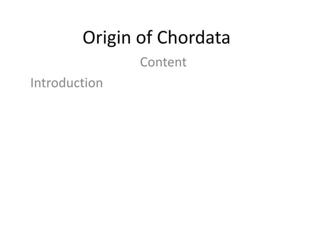 Origin of Chordata.pptx