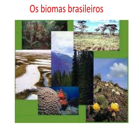 Os biomas brasileiros ......
