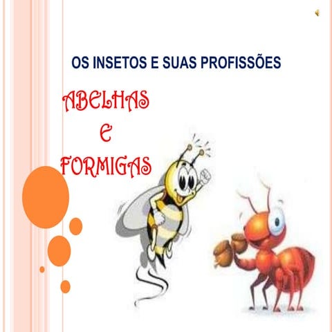 Os insetos e suas profissões