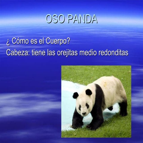 Oso panda final