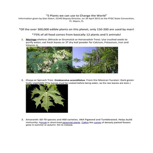 5 Plants We Can Use to Change the World