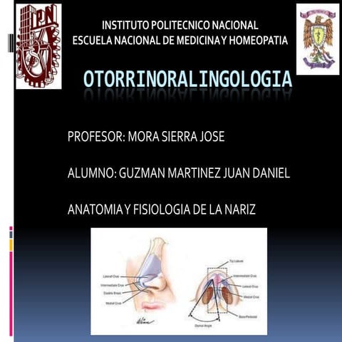 Otorrinoralingologia