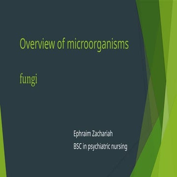 Overview of different microorganisms_3_noaudio.pptx