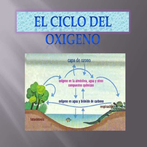 Oxigeno power ´point