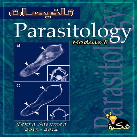 Para   mod 8 - part 2 - fekra team