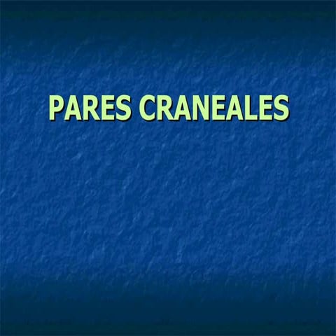 Pares craneales