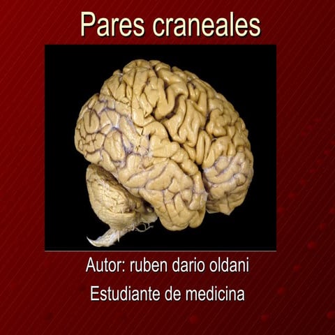 Pares craneales