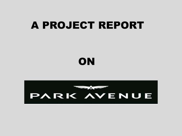 Park avenue project report