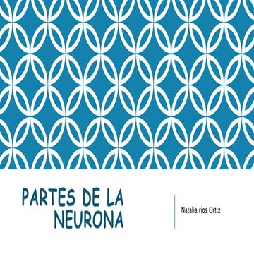 Partes de la neurona diapositiva