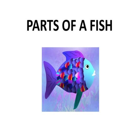 Parts of the fish