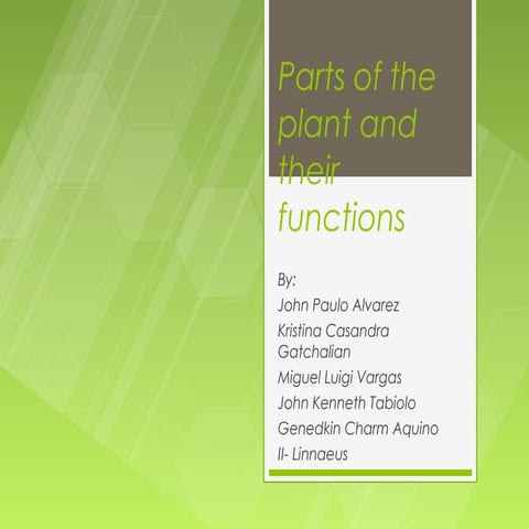 Parts of the plant and their functions