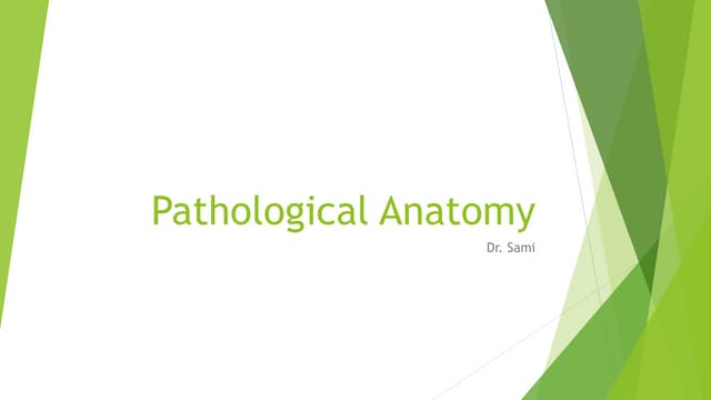 Pathological anatomy intro