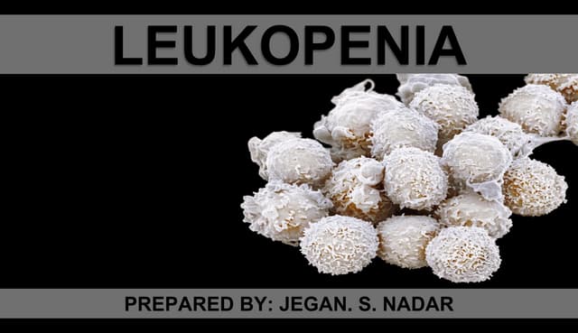 Pathophysiology of leukopenia