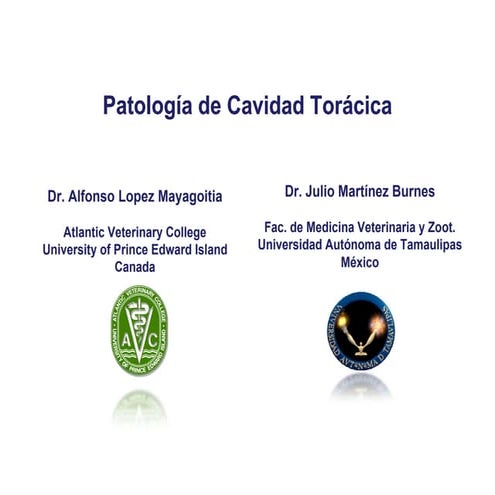 Patología de cavidad torácica