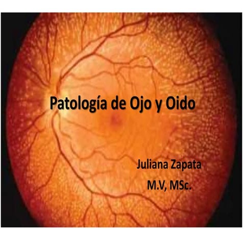Patología de ojo y oido