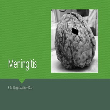 Patología Meningitis