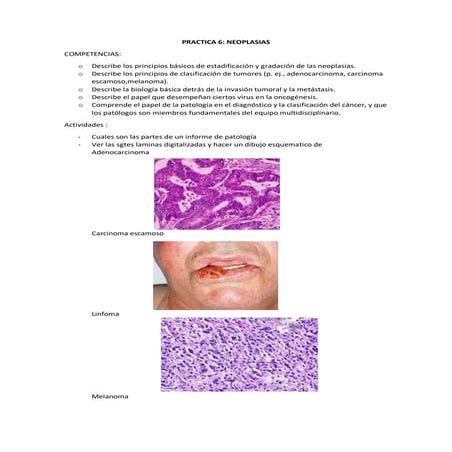 PATOLOGIA GENERAL-PRACTICAS 6.del crso de patologia genralpdf