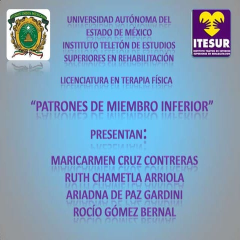 Patrones de miembro inferior