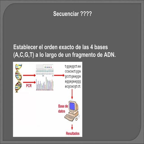 Pcr secuenciacion