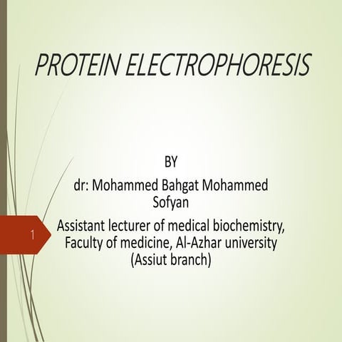 Protein Electrophoresis