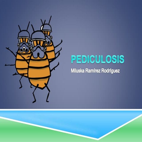 Pediculosis - Pediculosis capitis, corporis y púbica