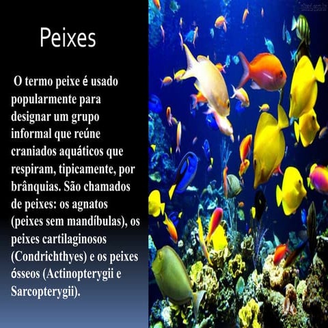 Peixes