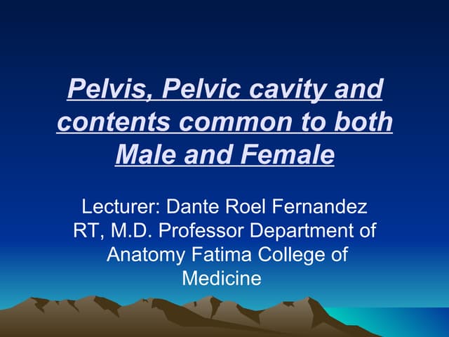 Pelvis By Dr. Fernandez