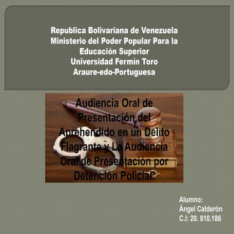 Derecho Procesal Penal A.C