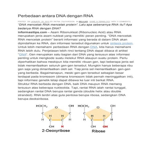 Perbedaan antara dna dengan rna