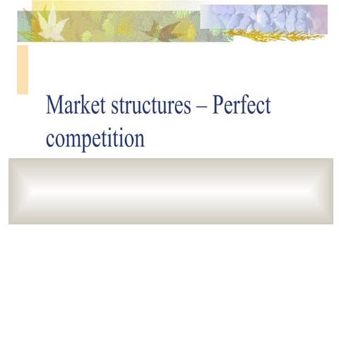 Perfect competition iimm