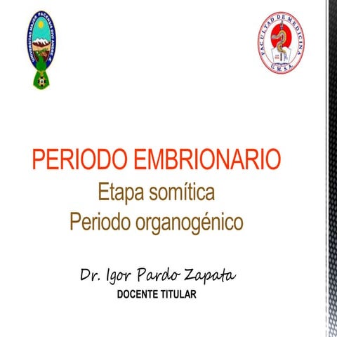 Periodo embrionario-etapa somítica-organogénesis. Dr. Igor Pardo Zapata. Jefe...