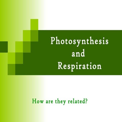 Photosynthesisandrespiration 111109085811-phpapp01