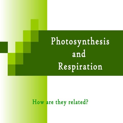 Photosynthesis+and+respiration+pvms[1]
