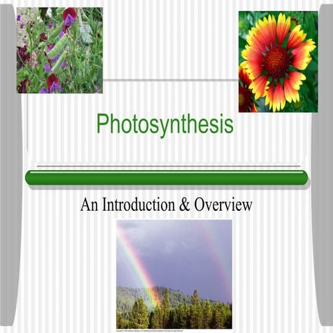Photosynthesis introduction for Advanced Biology 9th grade