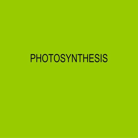 Photosynthesis PowerPoint